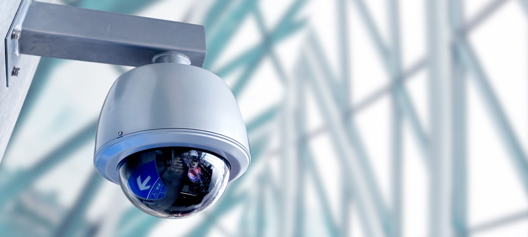 IP Cameras