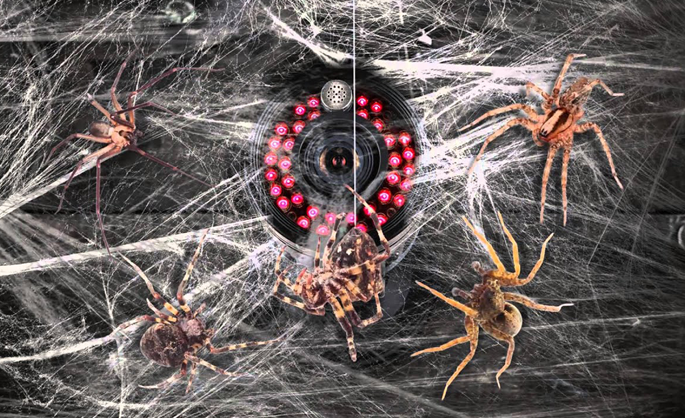 Keep Your Security Cameras Free of Bugs, Insects, and Spider Webs